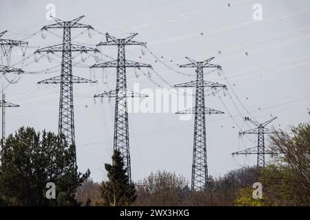 Neue Stromleitung von Birkenfeld nach Ötisheim im Enzkreis. Die 14 km lange 380-kV-Leitung soll nach Darstellung des Übertragungsnetzbetreibers TransnetBW eine sichere Stromversorgung in der Region gewährleisten. Die neue Höchstspannungsleitung soll noch dieses Jahr ans Netz gehen, derzeit werden die Leitungen montiert. DAS Genehmigungsverfahren Hat zwölf Jahre gedauert. // 27.03.2024: Pforzheim, Baden-Württemberg, Deutschland, Europa *** nuova linea elettrica da Birkenfeld a Ötisheim nel distretto di Enzkreis secondo il gestore del sistema di trasmissione TransnetBW, la 380 kV di 14 chilometri Foto Stock