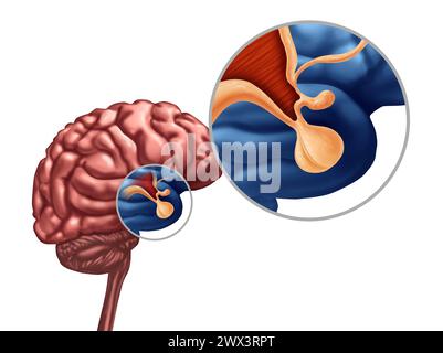 Ghiandola ipofisaria o ipotalamo o ipofisi cerebri concetto come simbolo del sistema endocrino correlato all'ormone della crescita come parte dell'anatomia umana. Foto Stock