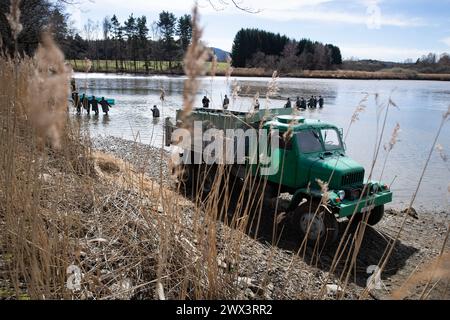 Svebohy, Horni Stropnice. 27 marzo 2024. Pescatori durante una pesca tradizionale primaverile dello stagno Kralovsky (Royal), a Svebohy, Horni Stropnice, Repubblica Ceca, marzo 27, 2024. credito: Vaclav Pancer/CTK Photo/Alamy Live News Foto Stock