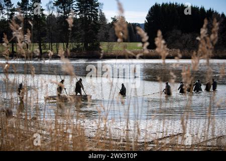 Svebohy, Horni Stropnice. 27 marzo 2024. Pescatori durante una pesca tradizionale primaverile dello stagno Kralovsky (Royal), a Svebohy, Horni Stropnice, Repubblica Ceca, marzo 27, 2024. credito: Vaclav Pancer/CTK Photo/Alamy Live News Foto Stock