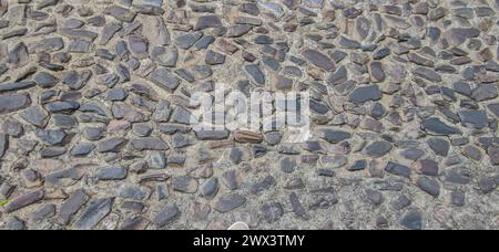 Pavimentazione in ciottoli con pietre di quarzite. Superficie stradale del complesso monumentale, Caceres, Spagna Foto Stock