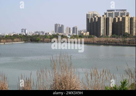 Gurugram, India. 14 dicembre 2024. GURUGRAM, INDIA - MARZO 27: Impianto di trattamento delle acque situato nel villaggio di Basai vicino alla Dwarka Expressway il 27 marzo 2024 a Gurugram, India. È probabile che l'approvvigionamento idrico in alcune parti della città sia influenzato dal fatto che il funzionamento dell'impianto di trattamento delle acque è stato leggermente colpito a causa della presenza di una maggiore quantità di limo nelle acque non depurate. (Foto di Parveen Kumar/Hindustan Times/Sipa USA) credito: SIPA USA/Alamy Live News Foto Stock