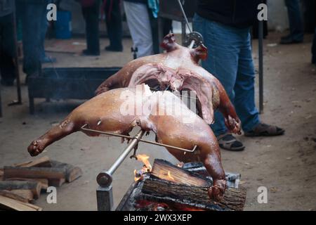 Corpo intero di maialini arrostiti che accende il caminetto naturale. Grande barbecue durante la cottura della carne. Suinetto grigliato tagliato a fette su un bastoncino. Primo piano Foto Stock