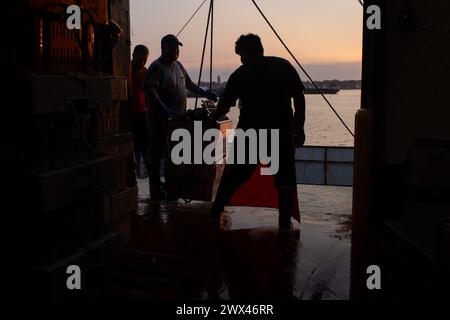 I pescatori di granchio scaricano le loro catture a New Bedford, Massachusetts, USA il 6 settembre 2023. Foto Stock