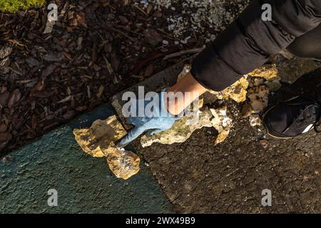 Piantare arbusti di conifere, costruire una roccia nel giardino, riordinare il giardino in primavera, piantare piante nel terreno Foto Stock