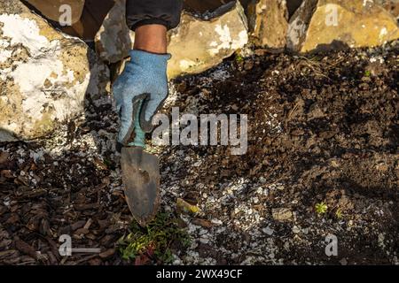 Piantare arbusti di conifere, costruire una roccia nel giardino, riordinare il giardino in primavera, piantare piante nel terreno Foto Stock