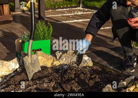 Piantare arbusti di conifere, costruire una roccia nel giardino, riordinare il giardino in primavera, piantare piante nel terreno Foto Stock