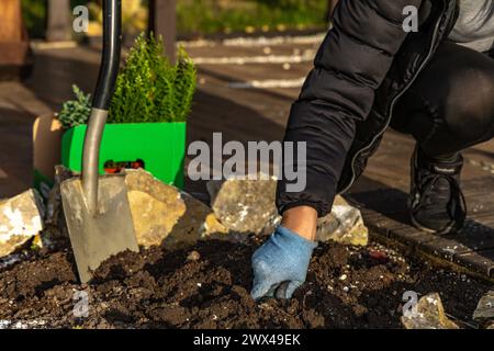 Piantare arbusti di conifere, costruire una roccia nel giardino, riordinare il giardino in primavera, piantare piante nel terreno Foto Stock