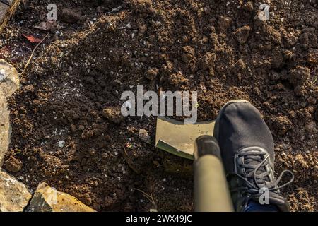 Piantare arbusti di conifere, costruire una roccia nel giardino, riordinare il giardino in primavera, piantare piante nel terreno Foto Stock