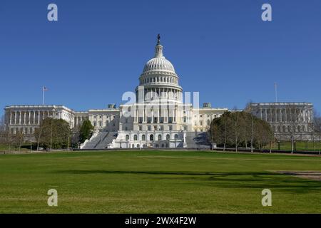 Di fronte al Campidoglio degli Stati Uniti a Washington DC Foto Stock