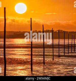 Una vista al tramonto guardando la linea di pennarelli sulla strada rialzata del Pellegrino sull'Isola Santa di Lindisfarne nel Northumberland Foto Stock