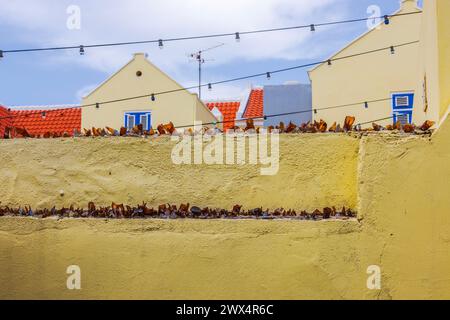 Vista ravvicinata di un muro di difesa sormontato da frammenti di bottiglia rotti come misura protettiva. Willemstad. Curacao Foto Stock