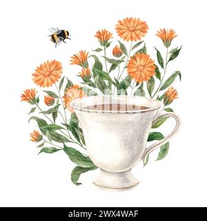 Composizione di tè ad acquerello con tazza vintage in ceramica, calendula e bumblebee. L'illustrazione è disegnata a mano, adatta per la progettazione del menu, la confezione, il poster, Foto Stock