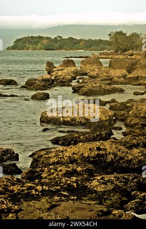 Una spiaggia rocciosa nel Parco Nazionale di Ujung Kulon, Pandeglang, Banten, Indonesia. Secondo Scale Climate Action, l’aumento delle temperature causato dai cambiamenti climatici può sconvolgere il delicato equilibrio degli ecosistemi. "Molte specie hanno requisiti di temperatura specifici per la sopravvivenza e la riproduzione. Anche lievi variazioni di temperatura possono influire sulla loro capacità di trovare cibo, accoppiarsi e migrare, portando a un declino della popolazione. Così, a sua volta, influisce sull'intricata rete di interazioni all'interno degli ecosistemi," i loro redattori scrivono sul loro sito web. Foto Stock