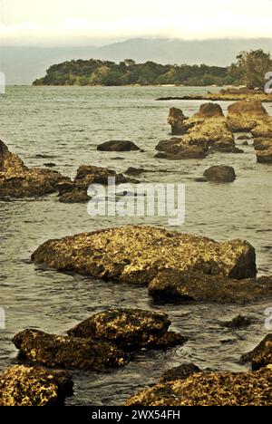 Una spiaggia rocciosa nel Parco Nazionale di Ujung Kulon, Pandeglang, Banten, Indonesia. Secondo Scale Climate Action, l’aumento delle temperature causato dai cambiamenti climatici può sconvolgere il delicato equilibrio degli ecosistemi. "Molte specie hanno requisiti di temperatura specifici per la sopravvivenza e la riproduzione. Anche lievi variazioni di temperatura possono influire sulla loro capacità di trovare cibo, accoppiarsi e migrare, portando a un declino della popolazione. Così, a sua volta, influisce sull'intricata rete di interazioni all'interno degli ecosistemi," i loro redattori scrivono sul loro sito web. Foto Stock