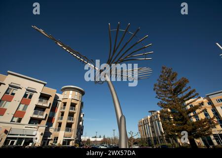 Cupertino, California, Stati Uniti - 1 gennaio 2023: Il sole del pomeriggio splende nel centro di Main Street Cupertino, un'area urbana mista e al dettaglio del centro. Foto Stock