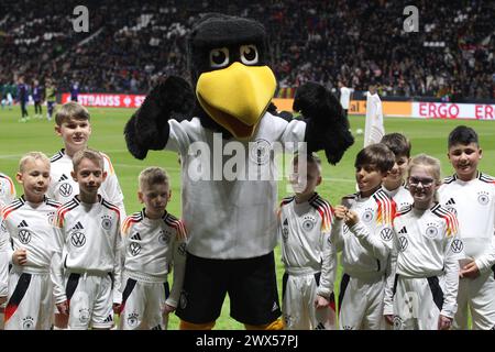 Francoforte, Germania - 26. MARZO 2024: La mascotte della DFB, l'aquila Paule, durante l'amichevole di calcio internazionale con i bambini durante l'amichevole partita di calcio tra la Nazionale TEDESCA e la Nazionale OLANDESE al Frankurt Football Stadium di Francoforte sul meno nel 26. Marzo 2024, - Germania vs PAESI BASSI - - Die Deutsche Fussball Nationalmannschaft beim Freundschaftsspiel gegen Holland a Francoforte sul meno. L'Èquipe d'Allemagne de Football a joué dans un Match amical a Francfort contre l'Équipe Nationalle des Pays Bas. (Foto e copyright @ Arthur Foto Stock