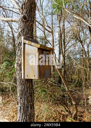 Birdhouse in legno attaccata a un albero per attirare gli uccelli da nidificare in Alabama, USA. Foto Stock