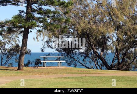 Tavolo da picnic e alberi vicino all'oceano a Elliott Heads nel Queensland, Australia Foto Stock