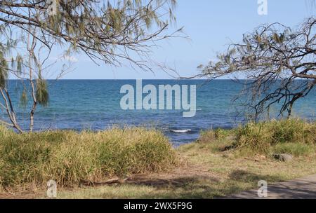 Vista dell'oceano a Elliott Heads nel Queensland, Australia, incorniciata da alberi Foto Stock