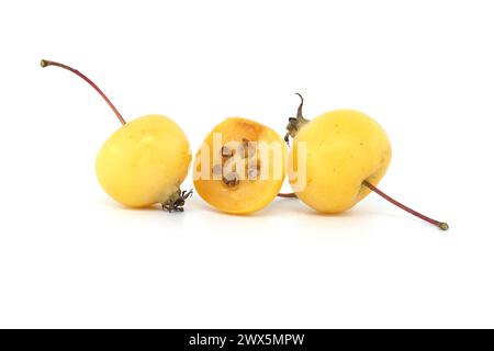 Mela di granchio o mela selvatica europea isolata su sfondo bianco. Le mele selvatiche sono a rischio di estinzione Foto Stock