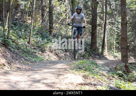 Mountain bike nella Foresta Foto Stock