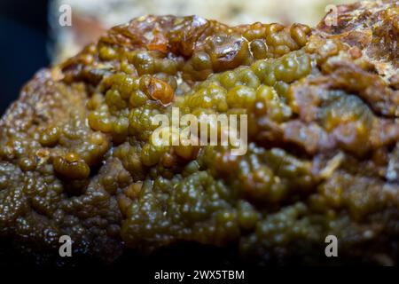 Buccia di sferulite di calcedonia su pietra selce Foto Stock