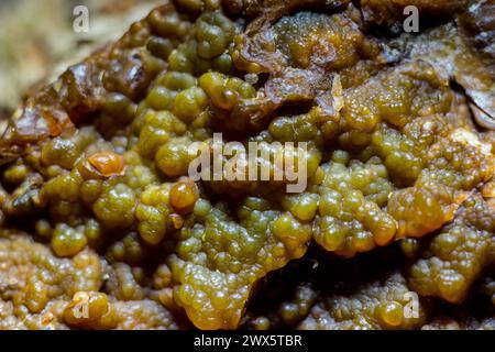 Buccia di sferulite di calcedonia su pietra selce Foto Stock