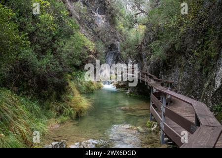 Paesaggio di un sentiero escursionistico lungo un fiume Foto Stock