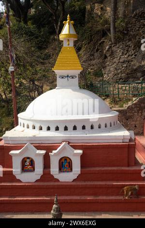 Scimmie che vagano nei piccoli stupa situati alla base di Swayambhunath, Kathmandu, Nepal Foto Stock