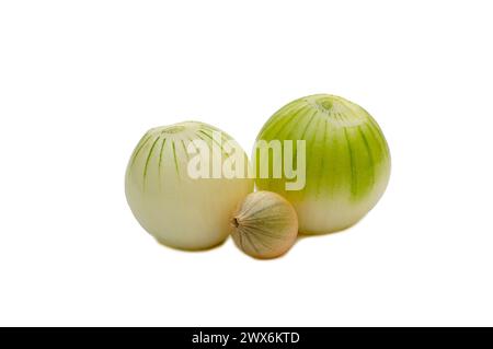 Pelate due cipolle con un motivo caratteristico. E una piccola cipolla non sbucciata con un motivo su uno sfondo isolato Foto Stock