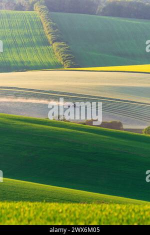 Trattore su un campo ampio con strisce di prato tagliate. È un pomeriggio di primavera soleggiato nella Repubblica Ceca. Foto Stock