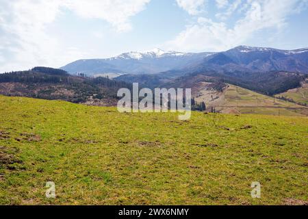 paesaggio della campagna dei carpazi all'inizio della primavera. paesaggio rurale montagnoso con colline ondulate ricoperte di erba intemprata. caldo giorno di sole Foto Stock