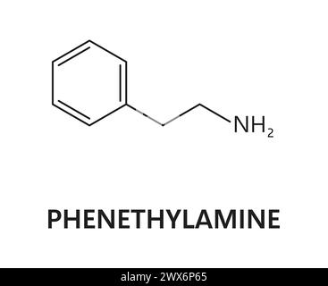 La formula chimica della fenetilammina è c8h11n, composto organico semplice con un anello di benzene attaccato a una catena di etilammina. La sua struttura è alla base del suo ruolo di neurotrasmettitore e composto psicoattivo Illustrazione Vettoriale