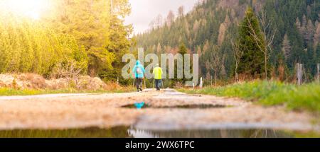Una coppia di anziani cammina con pali da trekking lungo un sentiero nella foresta dopo la pioggia, bagnata dal caldo bagliore del sole che tramonta, indicando uno stile di vita attivo e un legame con la natura. Foto Stock