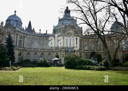 Vista sul lato anteriore del castello di Vajdahunyad nel parco cittadino. Foto Stock