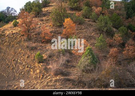 In mezzo al terreno montuoso, lussureggianti cespugli adornano le colline, creando un paesaggio panoramico e aspro in armonia con la bellezza della natura. Foto Stock