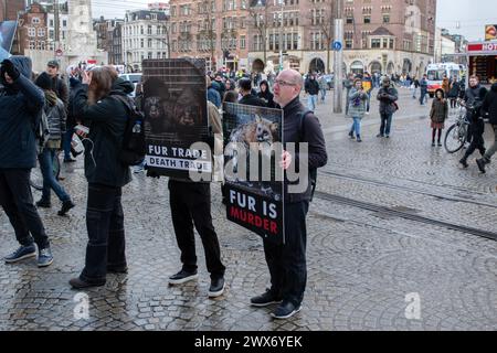 I manifestanti che protestano contro la pelliccia ad Amsterdam Paesi Bassi 23-3-2024 Foto Stock