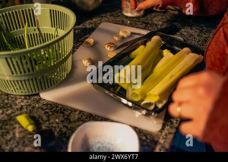 Una sinfonia culinaria si dispiega quando una donna maneggia sapientemente un coltello, affettando verdure vivaci in cucina, creando un capolavoro fresco e nutriente Foto Stock