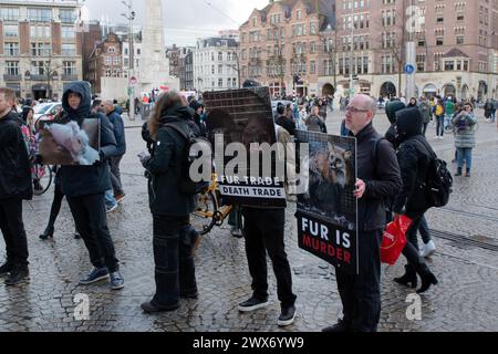 I manifestanti che protestano contro la pelliccia ad Amsterdam Paesi Bassi 23-3-2024 Foto Stock