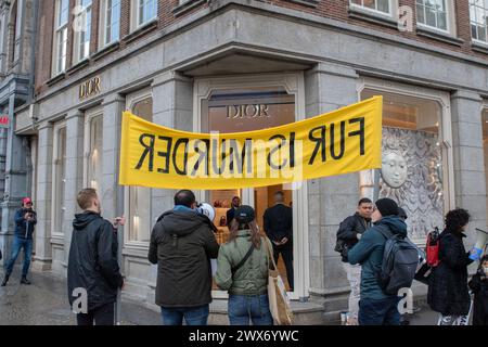 I manifestanti che protestano contro la pelliccia ad Amsterdam Paesi Bassi 23-3-2024 Foto Stock