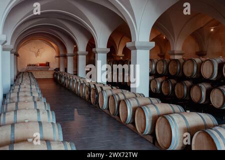 Cantina di vini nella contea di zala in Ungheria elegante con molte botti Foto Stock