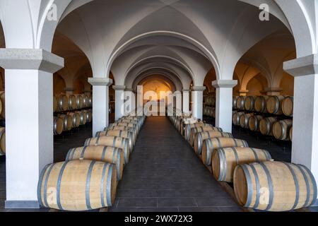 Cantina di vini nella contea di zala in Ungheria elegante con molte botti Foto Stock