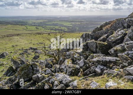 Vista dell'area di Tavistock dalla parte superiore di Cox Tor a Dartmoor Devon Foto Stock