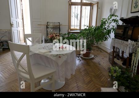 Non esclusiva: ODESA, UCRAINA - 27 MARZO 2024 - Un edificio danneggiato da un attacco missilistico russo nel giardino botanico di Odesa I.I. Mechnykov Nation Foto Stock