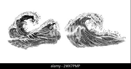 Schizzo delle onde marine. Onde di marea oceaniche disegnate a mano isolate su sfondo bianco per il surf e il paesaggio marino. Illustrazione vettoriale. Illustrazione Vettoriale