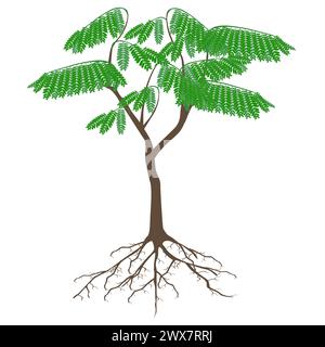 Albero con radici isolate su sfondo bianco. Illustrazione Vettoriale
