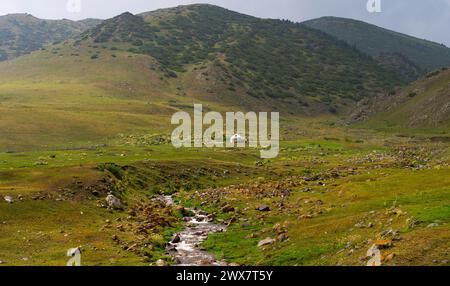 Bella natura del Kazakistan sull'altopiano di Assy in estate. Fiume di montagna, colline verdi e yurts bianchi. Foto Stock