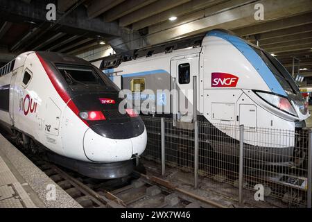 Francia, regione Ile-de-France, 15° arrondissement di Parigi, gare Montparnasse, piattaforma di partenza e arrivo, treni TGV, Inoui e ter Foto Stock