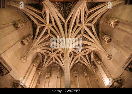 Turismo, Francia, 5° arrondissement di parigi, hotel de cluny, museo del Medioevo, court of honor, 6 place painleve, rue du sommerard, street, arch, arcata, arte gotica Foto Stock